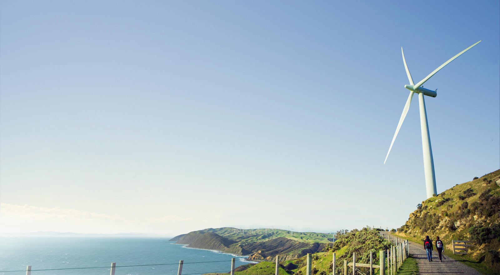 4 what government is doing